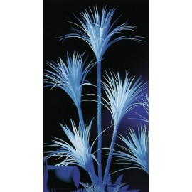 UV Juka, výška 180cm
