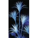 UV Juka, výška 180cm