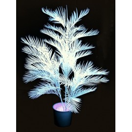 UV Kentia, 170cm