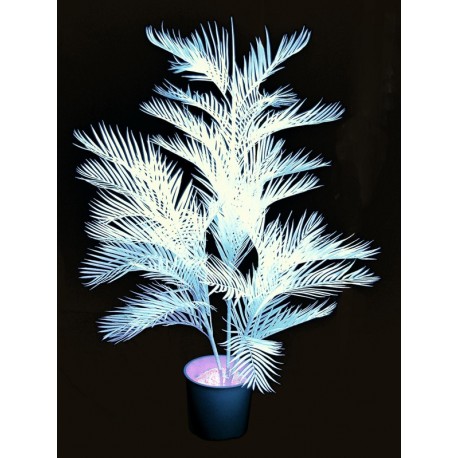 UV Kentia, 170cm