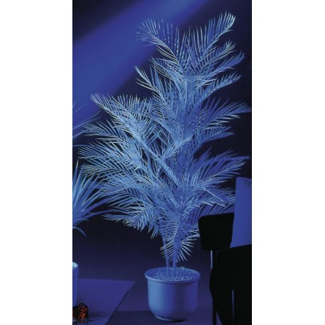 UV Kentia, 90cm