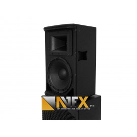 AVFX REPROBOX 10" 250W 99dB