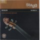 Stagg VI-REG-4, sada strun pro 3/4 a 4/4 housle