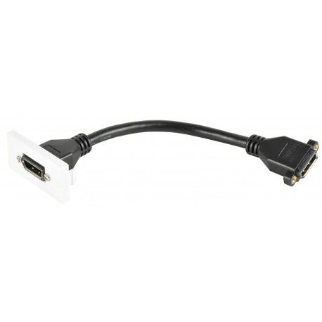 AV:Link Modul nástěnného rámečku, DisplayPort
