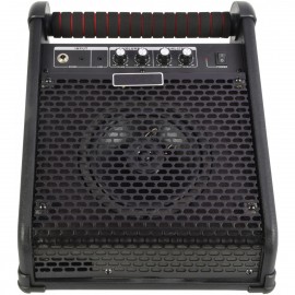 Chord SM-20 aktivní 6,5" Stage monitor, 20 W
