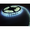 LED páska SMD5050, studená bílá, 12V, 1m, IP68, 60 LED/m